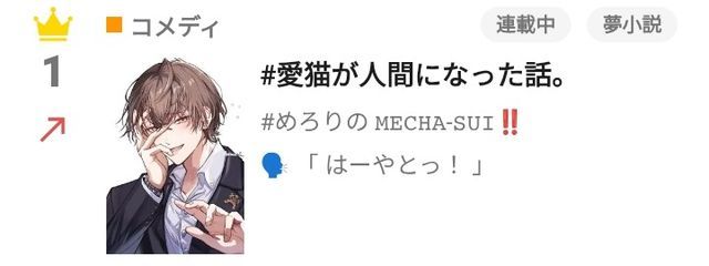 #めろりの 𝙼𝙴𝙲𝙷𝙰-𝚂𝚄𝙸‼️さんの壁紙画像