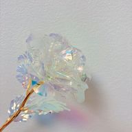 夢灯さんのアイコン画像