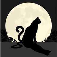 黒猫さんのアイコン画像