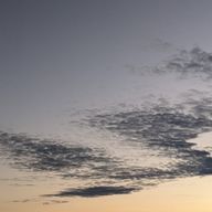 紅葉さんのアイコン画像