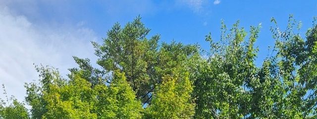 Gtmさんの壁紙画像