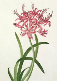 I'm so glad I met you  【2j3j】