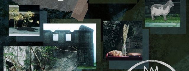 如月彗來さんの壁紙画像