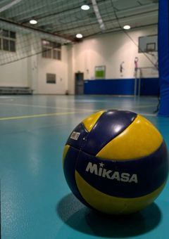 帰化選手の日記