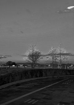 しゅーさんのにっき。