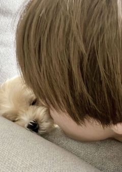 近づくほど遠くなる