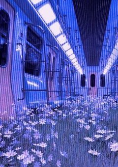 そのまま何処か遠くに行ってしまおうよ＿。︰ MASHLE