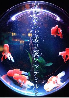 イッペン、成リ変ワッテミル？