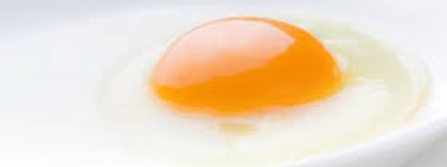 たまごころころさんの壁紙画像