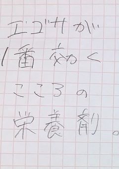 表紙あれだけどうん。まともだよ🫲👐🫱