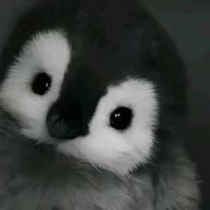 。さんのアイコン画像