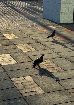 バッチの日常記録ノート