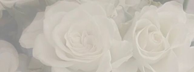 white.さんの壁紙画像