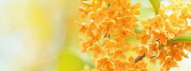 らい@ほぼ活休中さんの壁紙画像