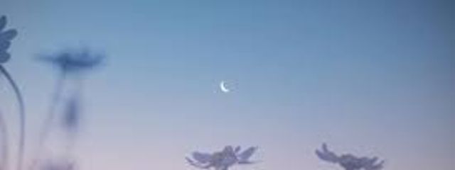 きぬがさ　るあさんの壁紙画像