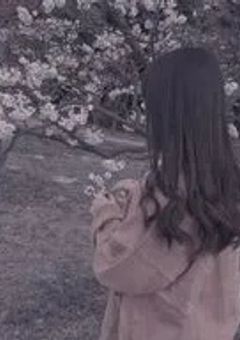 今　日　、　好　き　に　な　り　ま　し　た　。