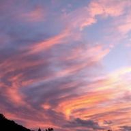 蓮さんのアイコン画像