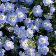 せな🗝さんのアイコン画像