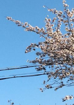 ドタバタ面白可笑しいシェアハウスへようこそ!!【参加型】