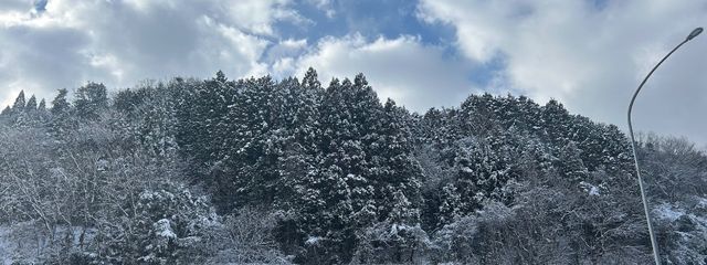 ミゆさんの壁紙画像