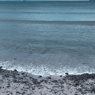 ミゆさんのアイコン画像