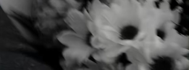 ぴとさんの壁紙画像