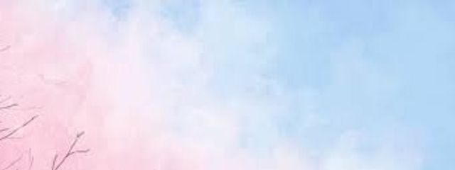 桜雨さんの壁紙画像