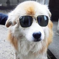 ポンタさんのアイコン画像