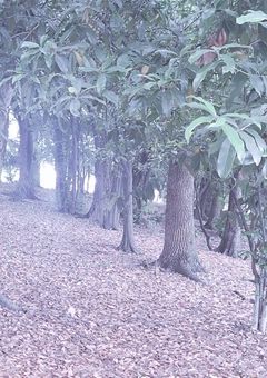 　𝘓𝘦𝘵'𝘴 𝘥𝘪𝘦 𝘵𝘰𝘨𝘦𝘵𝘩𝘦𝘳　