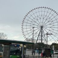 ねぃさんのアイコン画像