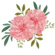 心の華さんのアイコン画像