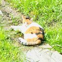 様子の可笑しい主