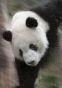 「廃校の怪異と殺人事件。」三次創作、考察部屋