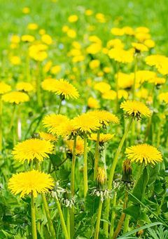 心 の 休 憩 所 🍀