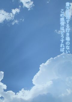 貴方に対する行き場のないこの感情はどうすれば、、