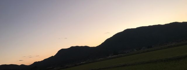 卵さんの壁紙画像