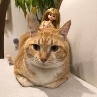 卵さんのアイコン画像