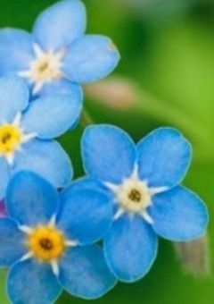 　ガデシン様を語りたい ‼️　