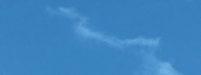 夏目 千雲さんの壁紙画像