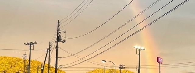 24さんの壁紙画像