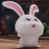 らて さんのアイコン画像