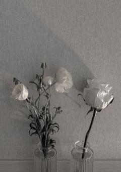 テスト撲滅委員会募集。( ˙-˙ )