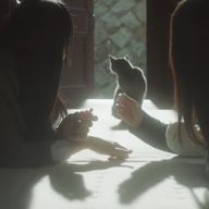 ｻ ﾗさんのアイコン画像