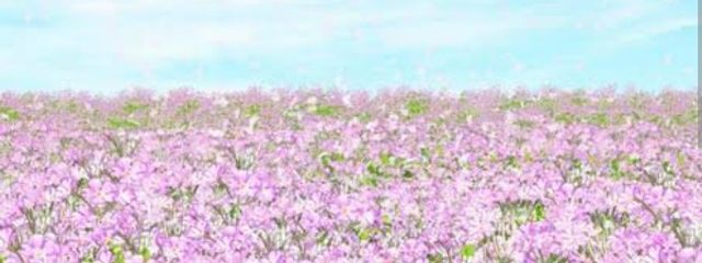 みなせなさんの壁紙画像