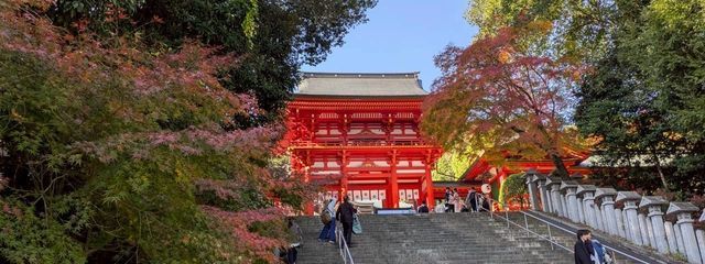 noyumeさんの壁紙画像