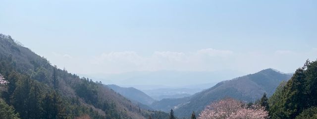 そてぇ@今日は無浮上さんの壁紙画像