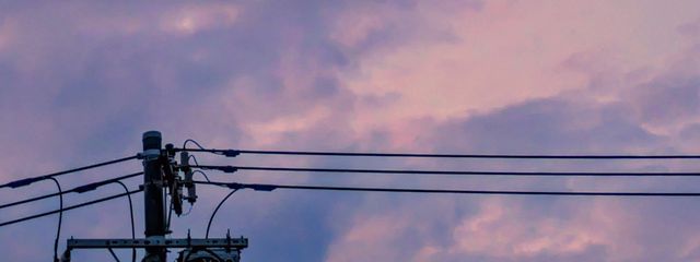 きのこの里さんの壁紙画像