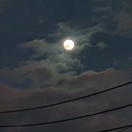 きのこの里さんのアイコン画像