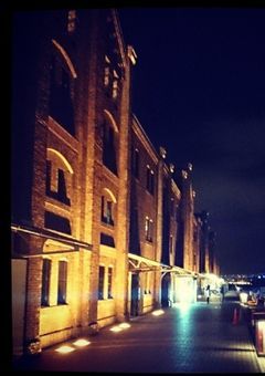 Under the Same Night