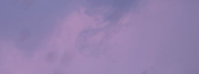 名無しの焼きさんの壁紙画像